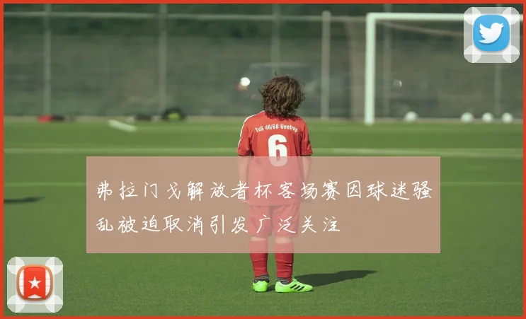 弗拉门戈解放者杯客场赛因球迷骚乱被迫取消引发广泛关注